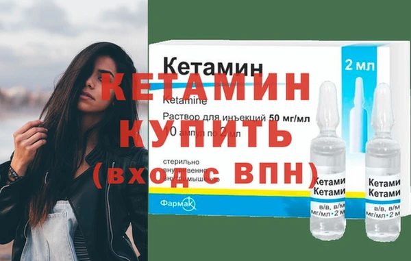 СК Новодвинск