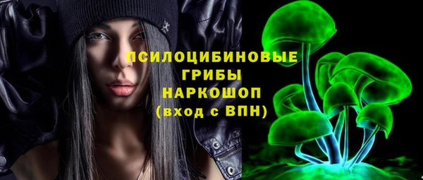 СК Новодвинск