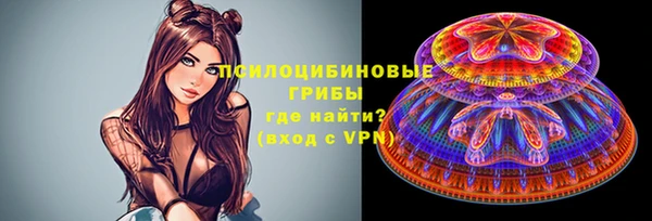 дмт Магас