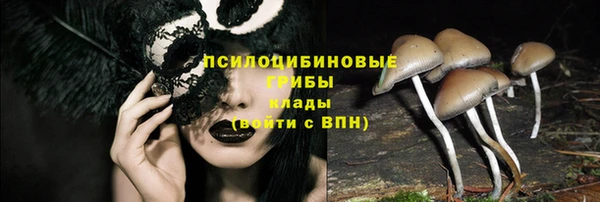 ПСИЛОЦИБИНОВЫЕ ГРИБЫ Новокубанск
