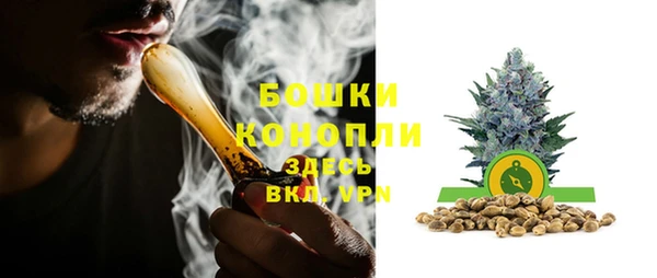 ПСИЛОЦИБИНОВЫЕ ГРИБЫ Новокубанск