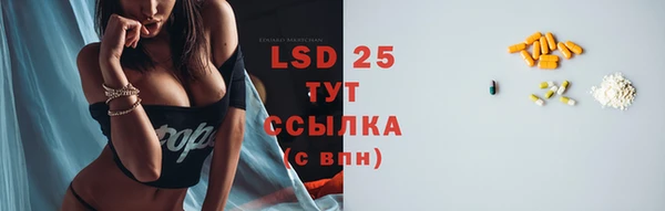 шишки Магадан