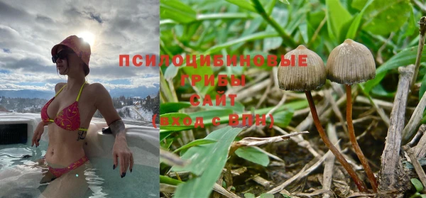 ПСИЛОЦИБИНОВЫЕ ГРИБЫ Новокубанск