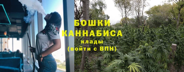 дмт Магас