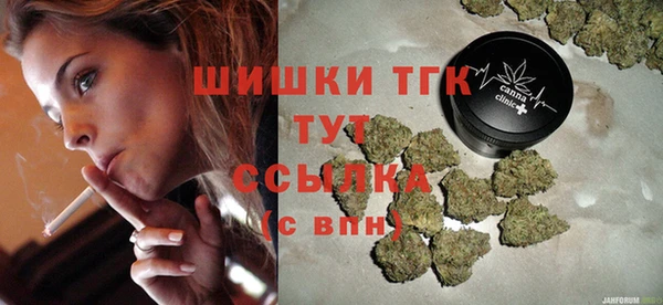 СК Новодвинск