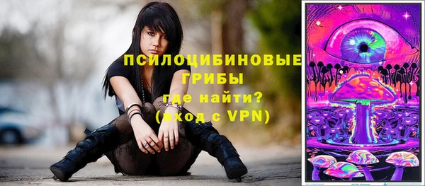 дмт Магас