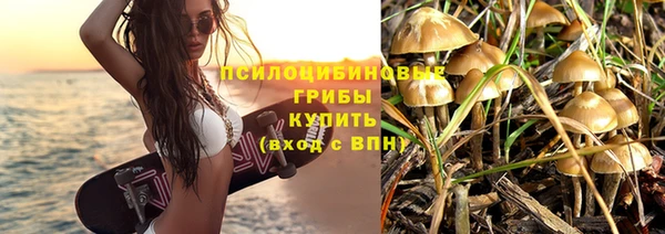 шишки Магадан