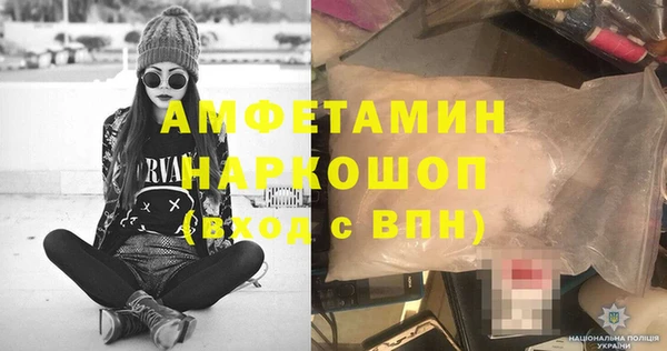 СК Новодвинск