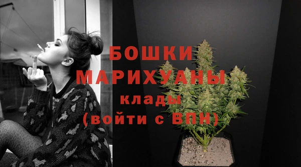 СК Новодвинск