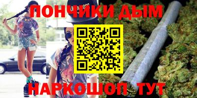 сатива Кингисепп