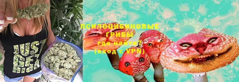 Псилоцибиновые грибы Psilocybine cubensis ОМГ ОМГ как войти Москва купить наркотики сайты