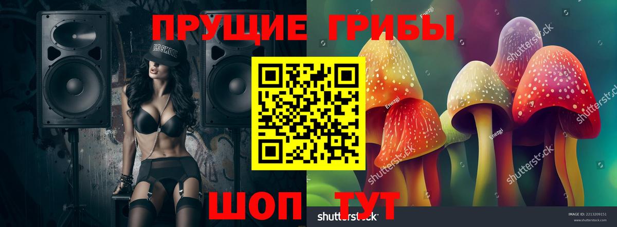 Галлюциногенные грибы GOLDEN TEACHER  Галлюциногенные грибы GOLDEN TEACHER  Москва 