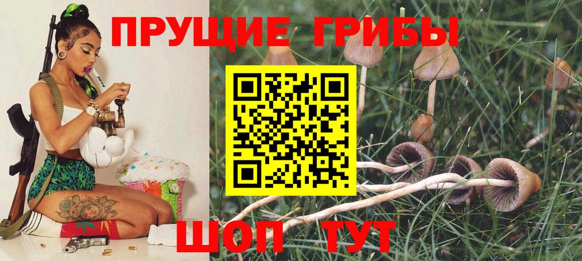 Москва  Галлюциногенные грибы ЛСД  Вход с VPN 